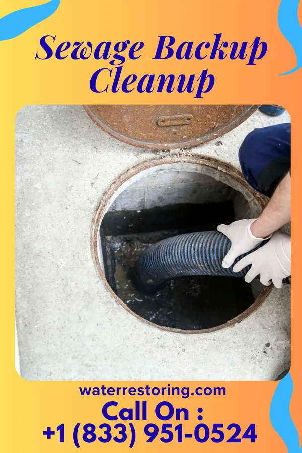 Sewage Backup Cleanup in Kosciusko, MS