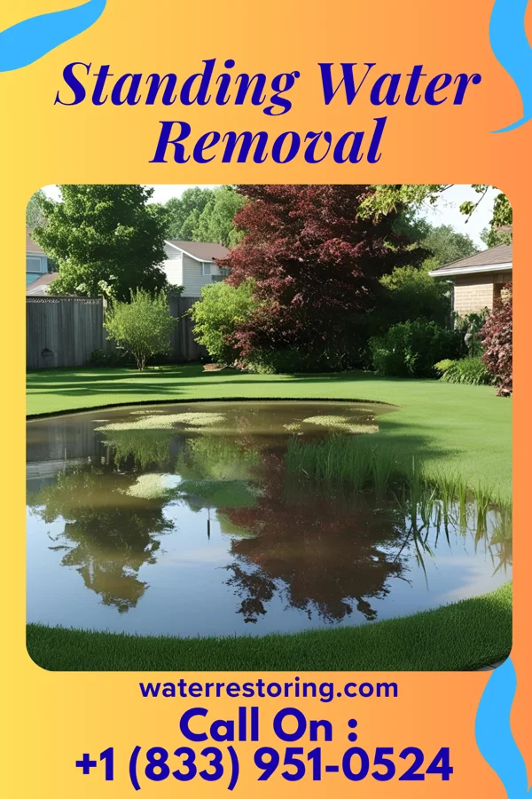 Standing Water Removal in Kosciusko, MS